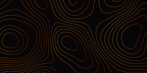 Poster - abstract design seamless pattern with line topographic map. geographic mountain relief. retro topogr