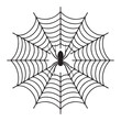 © Habib - Spider Vector icon