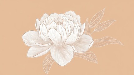 Sticker - Elegant Line Art Peony Flower With Delicate Leaves