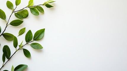 Poster - Minimalist composition on a plain white background, ready for customization