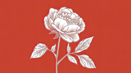 Sticker - A Single White Rose on a Red Background