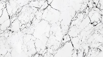 Poster - A close-up of white marble with black veining, showcasing its natural texture and pattern.