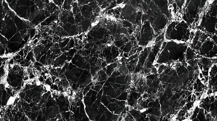 Poster - A close-up view of black marble with white veining, showcasing its natural beauty and texture.