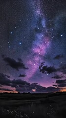 Wall Mural - Starry night sky with milky way and