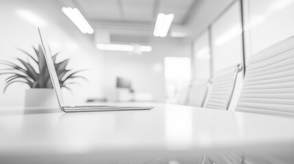 Poster - a minimalist office setting featuring a laptop and a plant on a conference table.