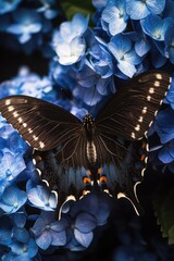 Poster - A black butterfly sits atop a blue flower