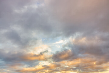 Wall Mural - generated image