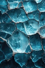 Poster - Close-up view of ice crystals forming on the surface of a body of water