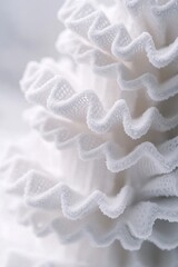 Poster - A detailed shot of a single white flower, ideal for use in still life or botanical photography