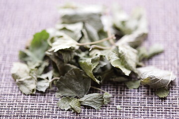 Aufkleber - A single bunch of fresh green leaves arranged on a table surface, perfect for decoration or photography prop.