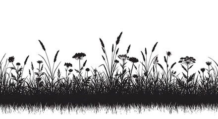 Grass with herbs and wild flowers. Vector isolated silhouette of floral meadow. Horizontal border.
