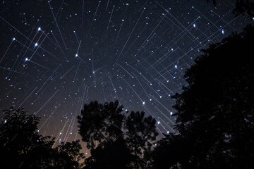 Wall Mural - night sky illuminated by vibrant fireworks over treetops during a festive celebration in a serene na
