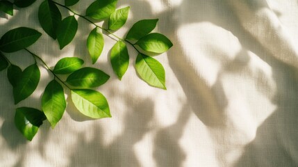 Wall Mural - Green leaves resting on lightly textured fabric create intricate shadows as sunlight streams through them, enhancing the overall aesthetic