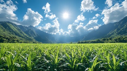 A picturesque view of green grass with natural scenery