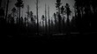© Vibrant Visions Pixe - Dark Monochrome Forest Landscape Tall, slender trees stand stark against a muted sky, fallen logs carpeting the shadowed ground.