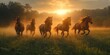 © tone Photo - This picture shows a herd of horses roaming the evening pasture