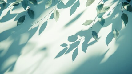 Aufkleber - Light green leaves and shadows on a pastel background.