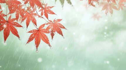 Poster - Red maple leaves with rain drops on a branch, soft-focus background.