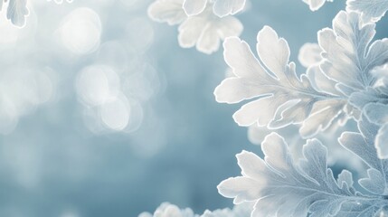 Poster - Close-up of frosty, silver-toned leaves with blurred background.
