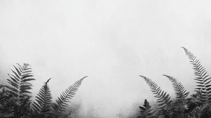 Poster - Monochrome fern leaves on misty background, ample copy space.