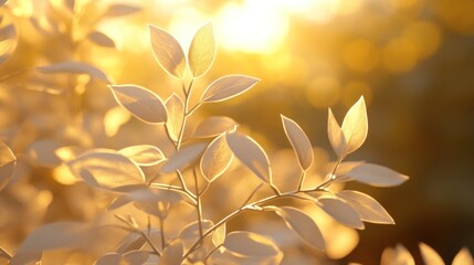 Poster - Golden hour sunlight illuminating delicate white leaves on branches.