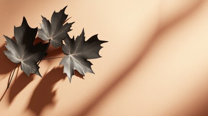 Poster - Three dark maple leaves arranged on a peach background, casting shadows.