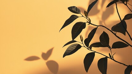 Poster - Dark green leaves cast shadows on a pale orange background.