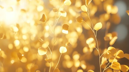 Poster - Golden hour sunlight illuminating delicate, small yellow leaves on slender stems, blurred background.