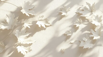 Poster - Soft light illuminates delicate white leaves casting shadows on a beige background.