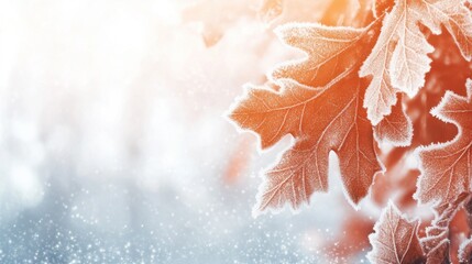 Poster - Frost-covered oak leaves on a winter branch, bokeh background.