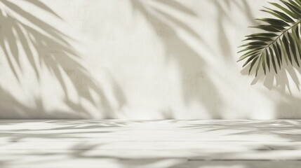 Poster - Minimalist white background with palm leaf shadows and empty wooden surface.