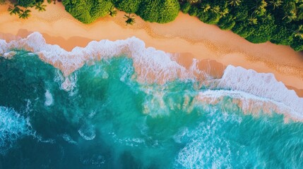 Poster - Aerial view of a tropical beach with turquoise water, white sand, and lush green vegetation.