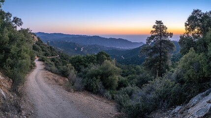 Fototapete - Scenic sunset view of a winding mountain road through lush greenery and hills.