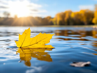 Yellow maple leaf floating on calm water with sun rays reflecting.