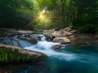 Poster - Serene forest stream flows over smooth rocks, bathed in the golden light of the setting sun.  The water is crystal clear, creating a tranquil and magical atmosphere.