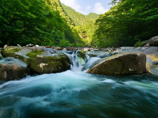 Poster - Serene mountain stream flows smoothly over moss-covered rocks, lush green foliage framing the tranquil scene.  Sunlight filters through the canopy.