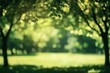 © anak - Sunlit green park, blurred trees and grass.