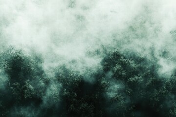 Poster - A misty forest scene with dense fog enveloping trees, creating a mysterious atmosphere.