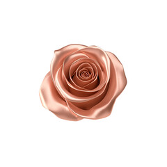 Wall Mural - elegant soft pink rose with delicate petals. transparent background. transparent background.