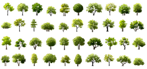 Wall Mural - vertor set of green tree,plants side view for landscape elevations,element for backdrop,eco environm