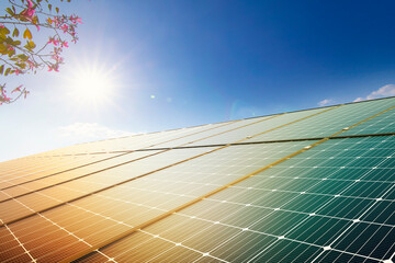 Wall Mural - flower and solar panels on blue sky and sun. clean energy, environmentally friendly.