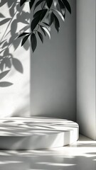 Poster - Large windows letting in sunlight to illuminate an empty white room with a tree plant outside, casting beautiful shadow background vertical