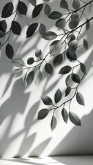 Poster - Large windows letting in sunlight to illuminate an empty white room with a tree plant outside, casting beautiful shadow background vertical