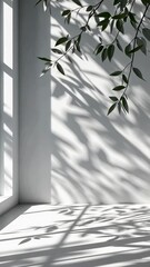Poster - Large windows letting in sunlight to illuminate an empty white room with a tree plant outside, casting beautiful shadow background vertical