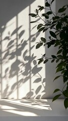 Poster - Large windows letting in sunlight to illuminate an empty white room with a tree outside, casting beautiful shadow background vertical