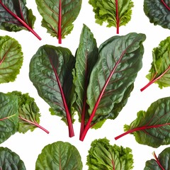 Wall Mural - Chard herb isolated on white background