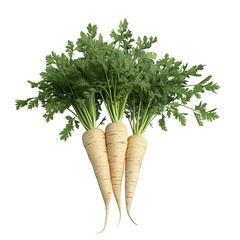 Poster - Parsnip roots growing with green leaves on white background