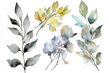 Poster - A collection of four watercolor leaves on a white background, great for designs and illustrations