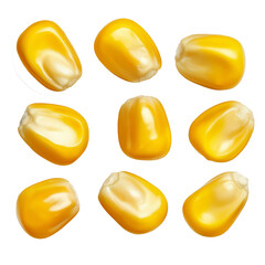 Poster - Nine corn kernels rotating on white background