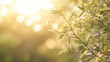 © GenZGraphics - Bamboo branch with soft sunlight glow and blurred background for natural text overlay and design purposes